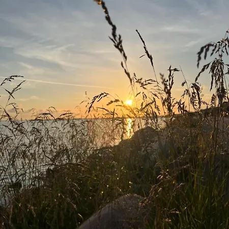 Klara ホームステイ *