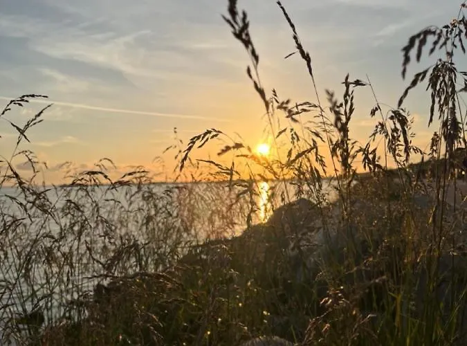 Klara ホームステイ *